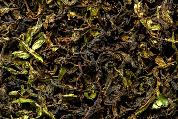 Secado y fermentación del sauce de té — Foto de Stock