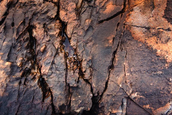 Steinhintergrund der Küste in Indien — Stockfoto