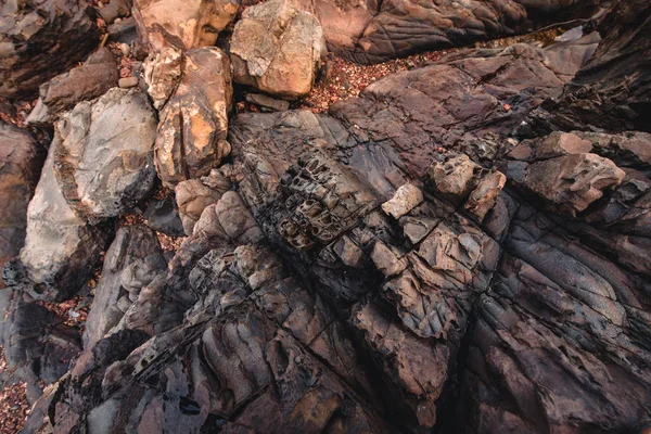 Fundo de pedra da costa na Índia — Fotografia de Stock