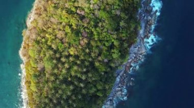 Bali şelale yakınında Jungle, Endonezya.