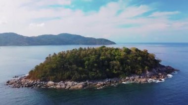 Bali şelale yakınında Jungle, Endonezya.