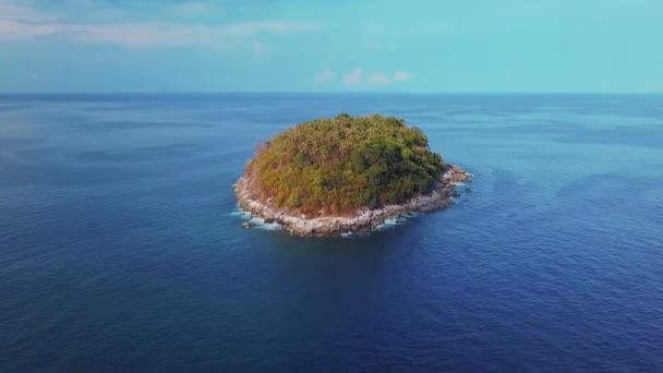 Dschungel Der Nähe Von Wasserfällen Bali Indonesien — Stockvideo