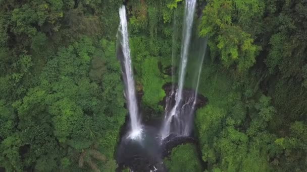 Sekumpul Waterval Bali Indonesië — Stockvideo