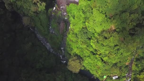 Sekumpul Wasserfall Bali Indonesien — Stockvideo
