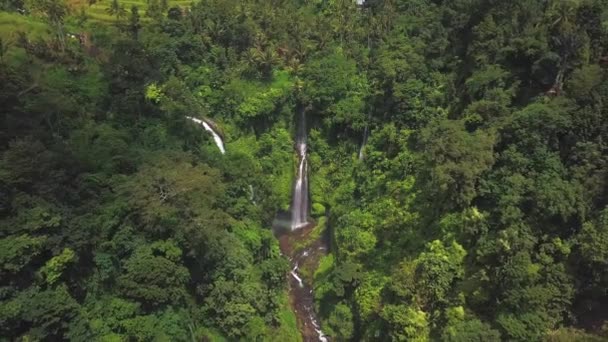 Cascada Sekumpul Bali Indonesia — Vídeo de stock