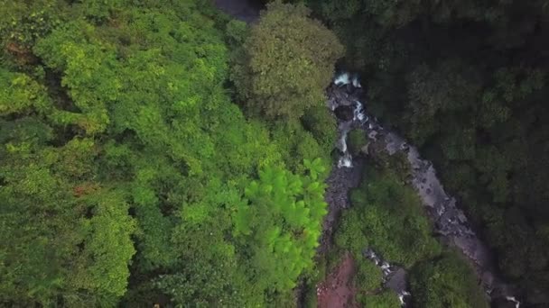 Cascada Sekumpul Bali Indonesia — Vídeo de stock