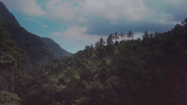 Ζούγκλα Κοντά Καταρράκτης Στο Μπαλί Ινδονησία — Αρχείο Βίντεο