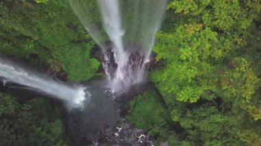 Bali Sekumpul şelale, Endonezya