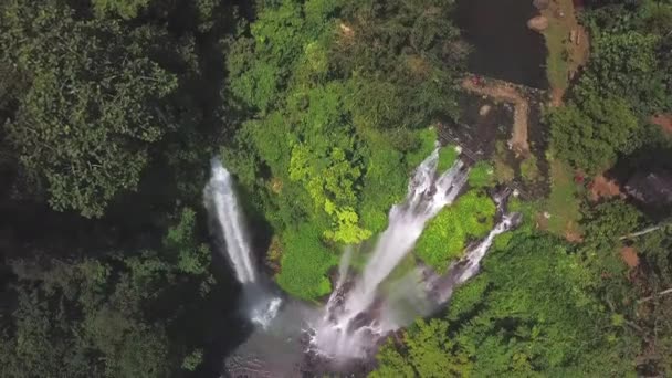 Cascada Sekumpul Bali Indonesia — Vídeo de stock