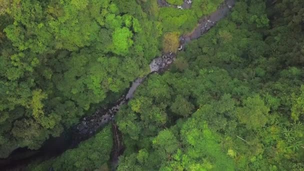 印度尼西亚巴厘岛塞库姆普尔瀑布 — 图库视频影像