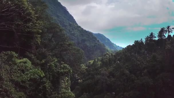 Jungle Près Une Cascade Bali Indonésie — Video