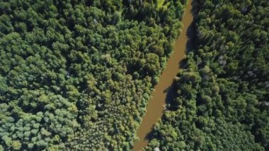 Orman ve küçük nehir üzerinde drone üzerinde Uçuş.