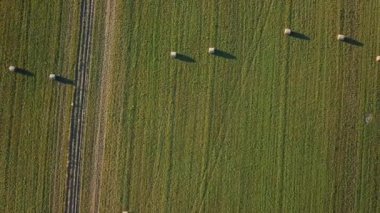 Balyalarda hasat edilen saman ile yeşil bir alan üzerinde Drone görünümü.
