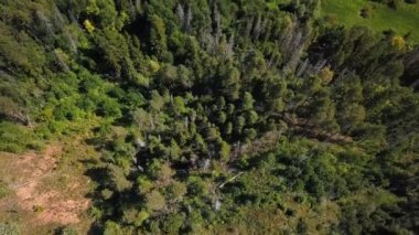 Rusya'da büyük nehir üzerinde Drone görünümü.