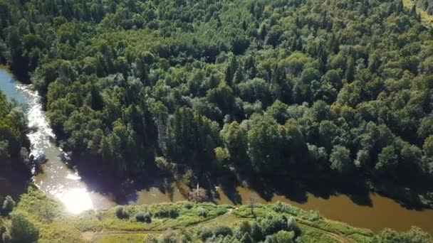 Volo Sul Drone Sopra Foresta Piccolo Fiume — Video Stock