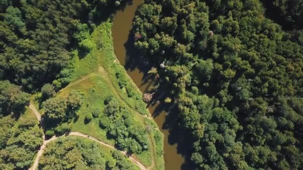 Vol Sur Drone Dessus Forêt Petite Rivière — Video