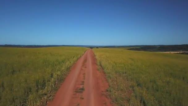 Drone Vista Bajo Campo Verde Con Carretera — Vídeos de Stock