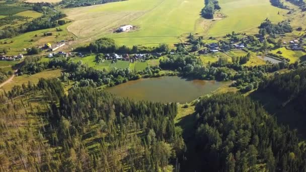 Derin Yeşil Ormanüzerinde Drone Manzarası — Stok video