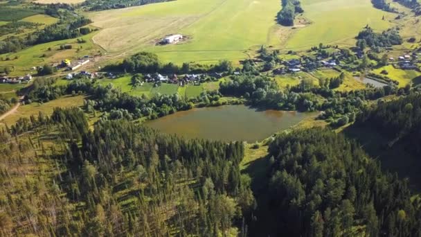 Vistas Drones Sobre Floresta Verde Profunda — Vídeo de Stock