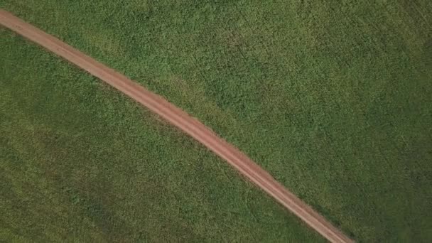 Drone Kilátás Zöld Mező Közúti — Stock videók