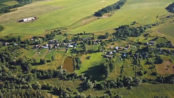 Vue Sur Drone Sur Forêt Vert Profond — Video