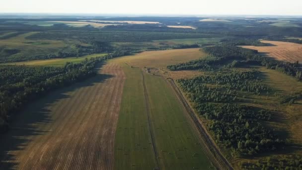 无人机在绿茵场上的景色 收获的干草在捆里 — 图库视频影像