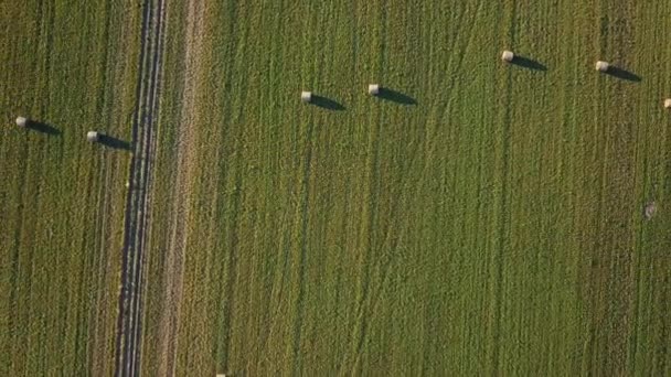 Drone Vista Sobre Campo Verde Com Feno Colhido Fardos — Vídeo de Stock