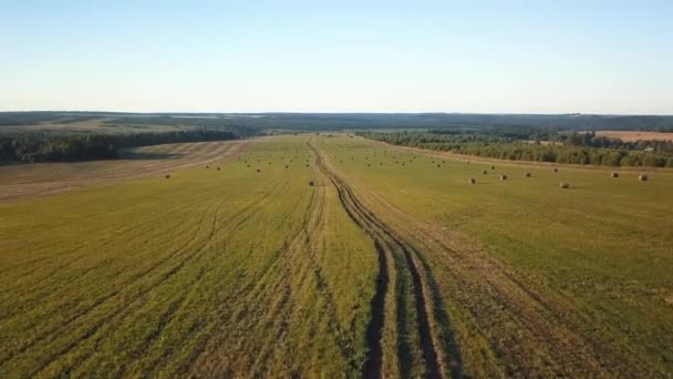 Vista Del Dron Sobre Campo Verde Con Heno Cosechado Fardos — Vídeos de Stock