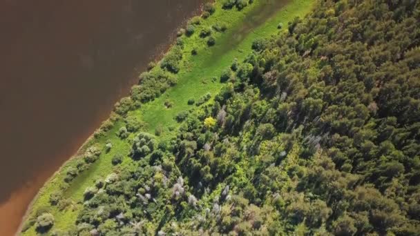 Drohnenblick Auf Großen Fluss Russland — Stockvideo