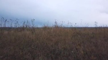 Rusya'da dolambaçlı bir nehrin üzerinde uçuyor. Drone görünümü.