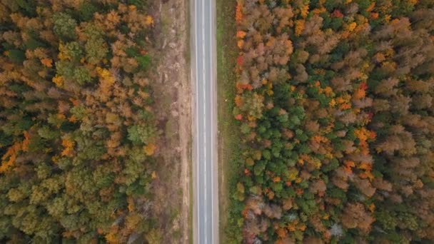 Vliegen Boven Herfst Kleurrijke Weg Drone Weergave — Stockvideo