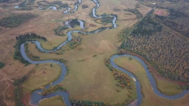 Volando Sobre Río Sinuoso Rusia Vista Del Dron — Vídeos de Stock