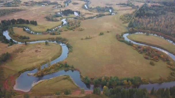 Volando Sobre Río Sinuoso Rusia Vista Del Dron — Vídeos de Stock