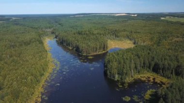 Orman gölü nün altında drone görünümü.