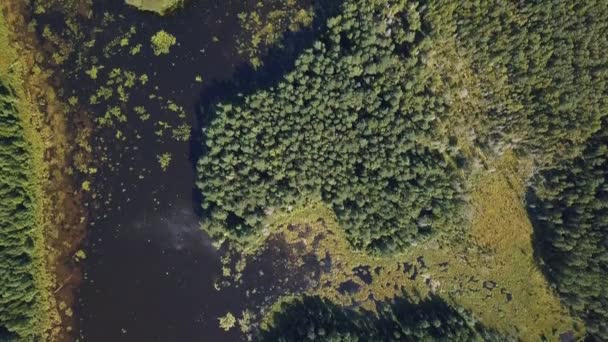 Drone Pohled Pod Lesní Jezero — Stock video