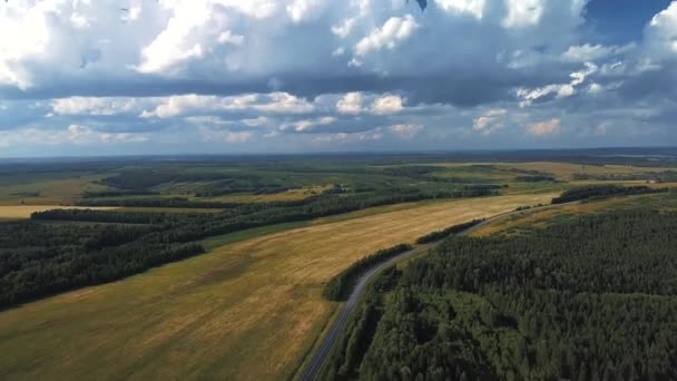 Drönarvyn Sommar Fält Med Moln Och Regnbåge — Stockvideo