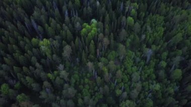 Nehrin yakınındaki en iyi manzara.