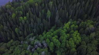 Nehrin yakınındaki en iyi manzara.