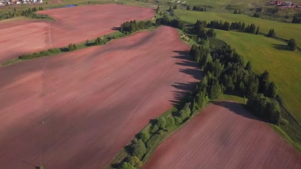 Vista Drone Para Campos Semeadura Primavera — Vídeo de Stock