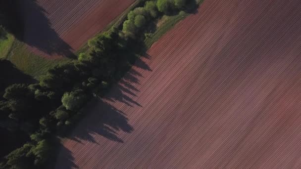Lihat Dari Drone Bidang Menabur Musim Semi — Stok Video