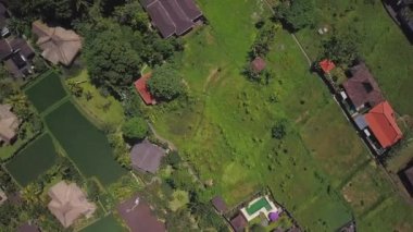Ubud'daki pirinç terasları, endonezya, Bali.