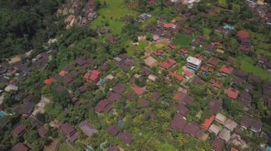 Ubud'daki pirinç terasları, endonezya, Bali.