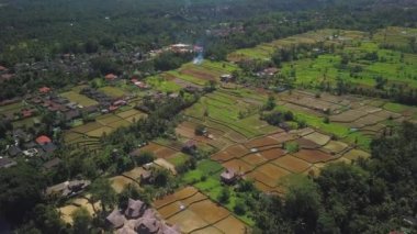 Ubud'daki pirinç terasları, endonezya, Bali.