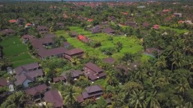 Ubud'daki pirinç terasları, endonezya, Bali.