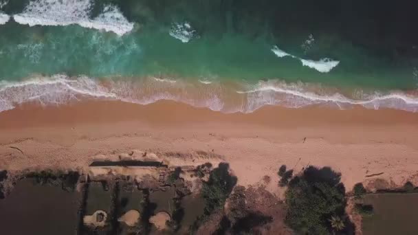 Προβολή Κηφήνας Κύματα Στην Πλευρά Της Παραλίας — Αρχείο Βίντεο