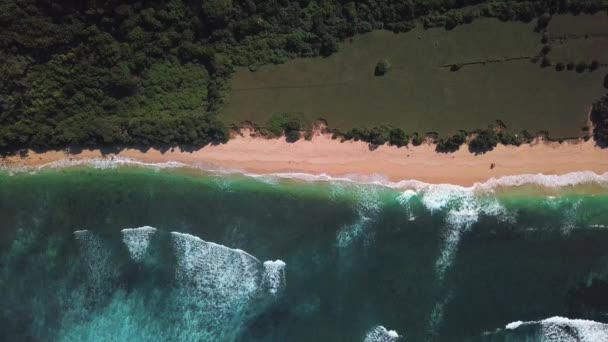 Προβολή Κηφήνας Στην Παραλία Nyang Nyang Μπαλί Ινδονησία — Αρχείο Βίντεο
