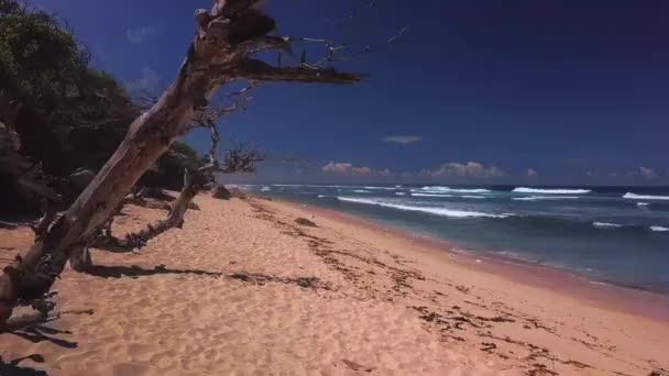 Vista Drone Praia Nyang Nyang Bali Indonésia — Vídeo de Stock