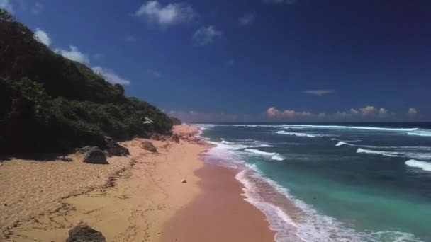 มมองโดรนบนชายหาดน นยาง บาหล นโดน — วีดีโอสต็อก