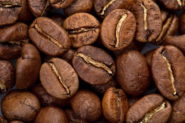 Kahve çekirdekleri yakın plan. Taze kavrulmuş