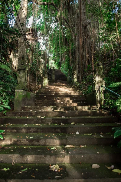 Merdivenler boyunca eski beton heykeller. Bali, Endonezya.